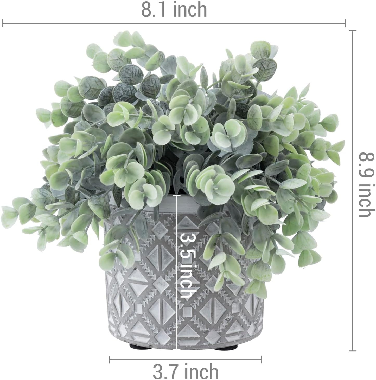 Artificial Eucalyptus Plant in Modern Gray Concrete Pots / Grey