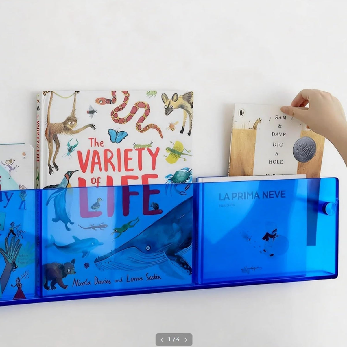 ROYALITA 2-Pack Acrylic Magazine Holder Brochure Holder, Blue 36 Inch | Record Magazine Rack, Fashion Floating