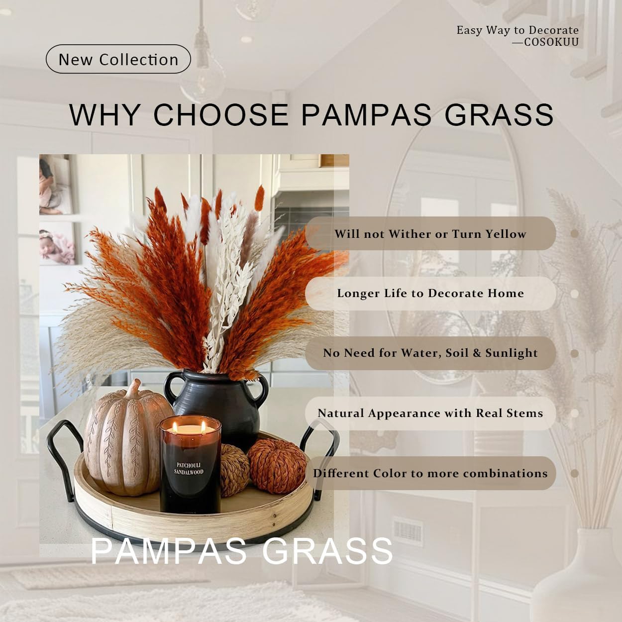 Pampas Grass Dried Flowers for Vase / Mixed Burnt Orange
