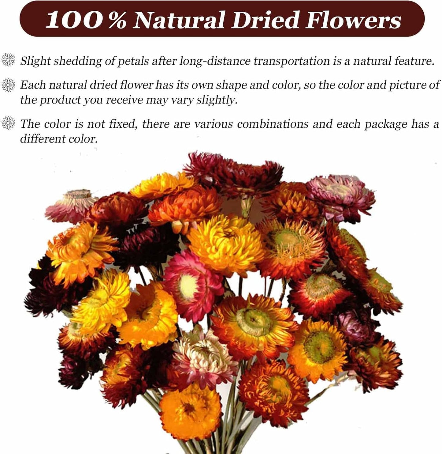 Dry Flower Arrangements / Multi Color / Natural / Set of 20
