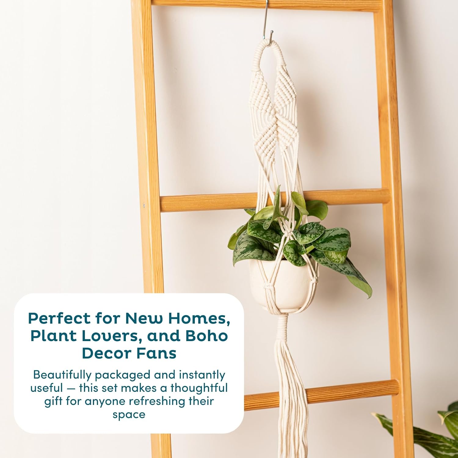 Macrame Plant Hangers / 6-pack Caramel / Set of 6