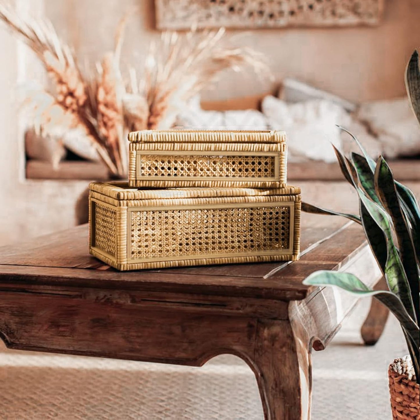 Large Handwoven Boho Rattan Display Boxes / Natural / Set of 2