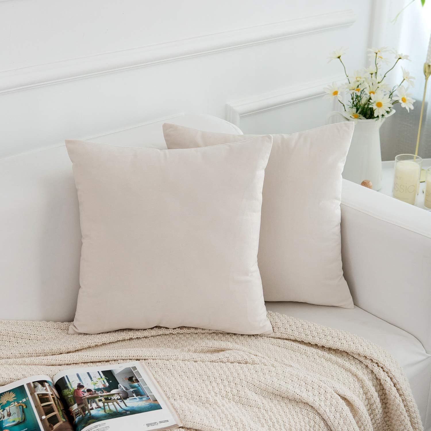 Velvet Decorative Throw Pillow Covers Cushion Cover Pillow Case / Cream / 18 x 18 / Set of 2