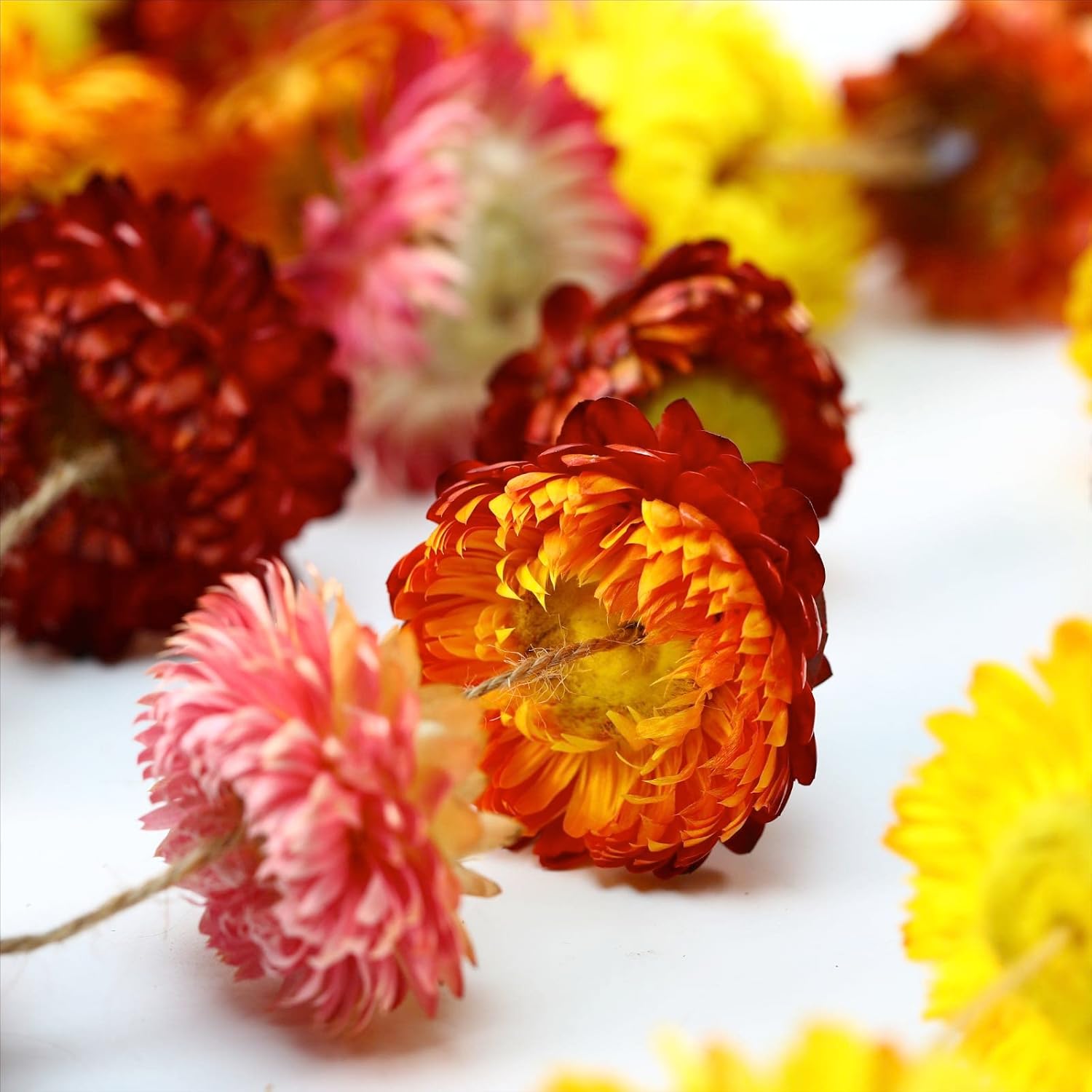 Dried Flowers Garland Real Daisy Sunflower Garlands Dry Flower Chain / 6.6 Inch