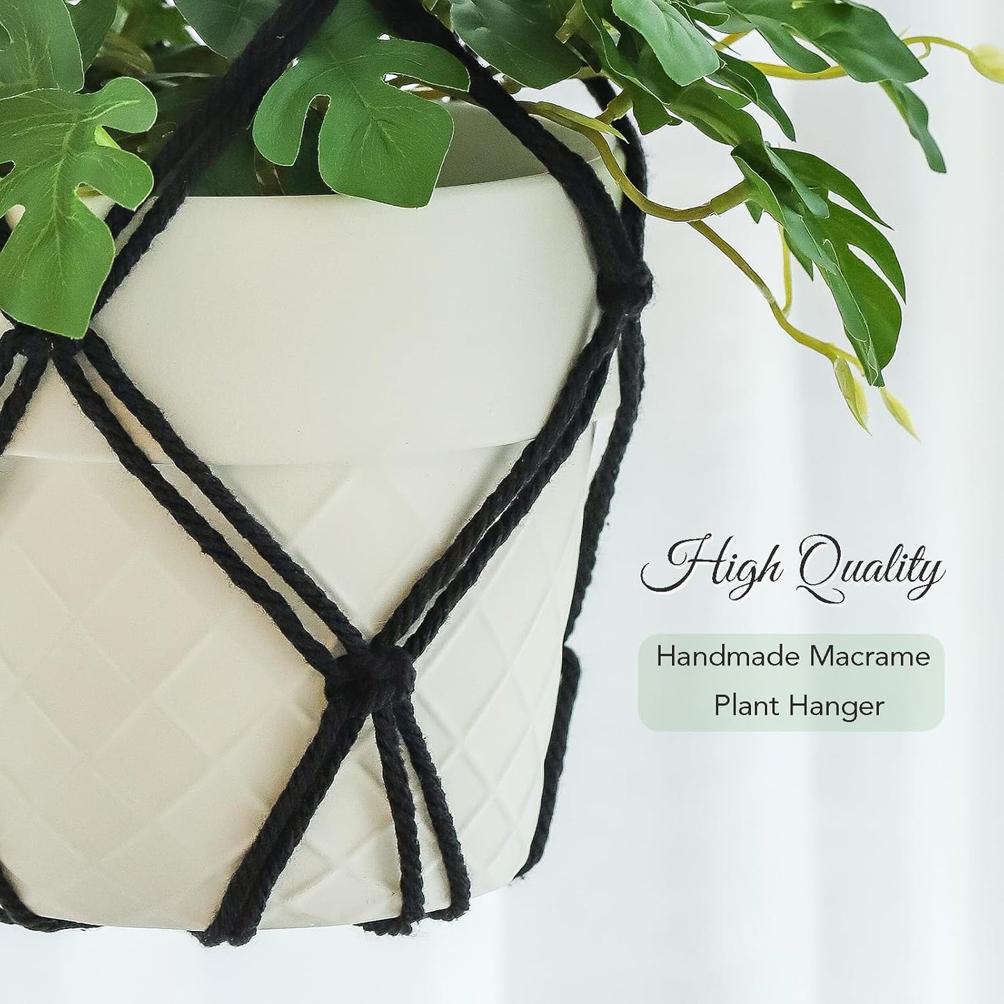 Boho Hanging Planters / Black Hanger / 10 Inch / Set of 8