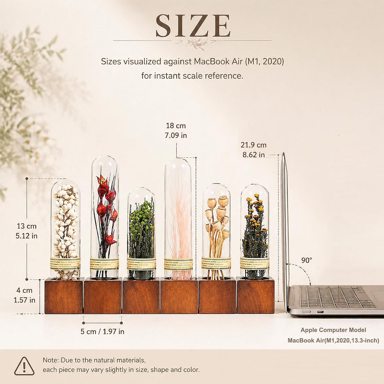 Dried Flower Decor / Earth Tones, 6-piece Set / Natural / Set of 6