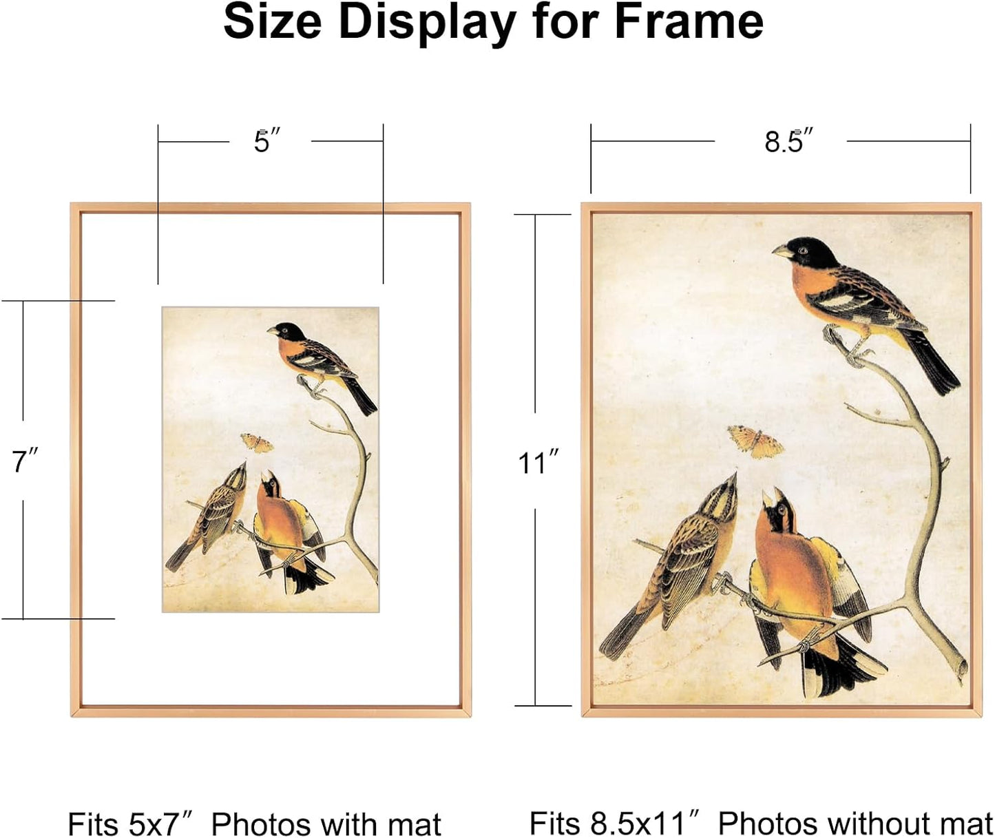BKABOT 8.5x11 Gold Metal Photo frames 3 Pack HD Glass Mat 5x7 Wall Table | Thin brushed aluminum Picture