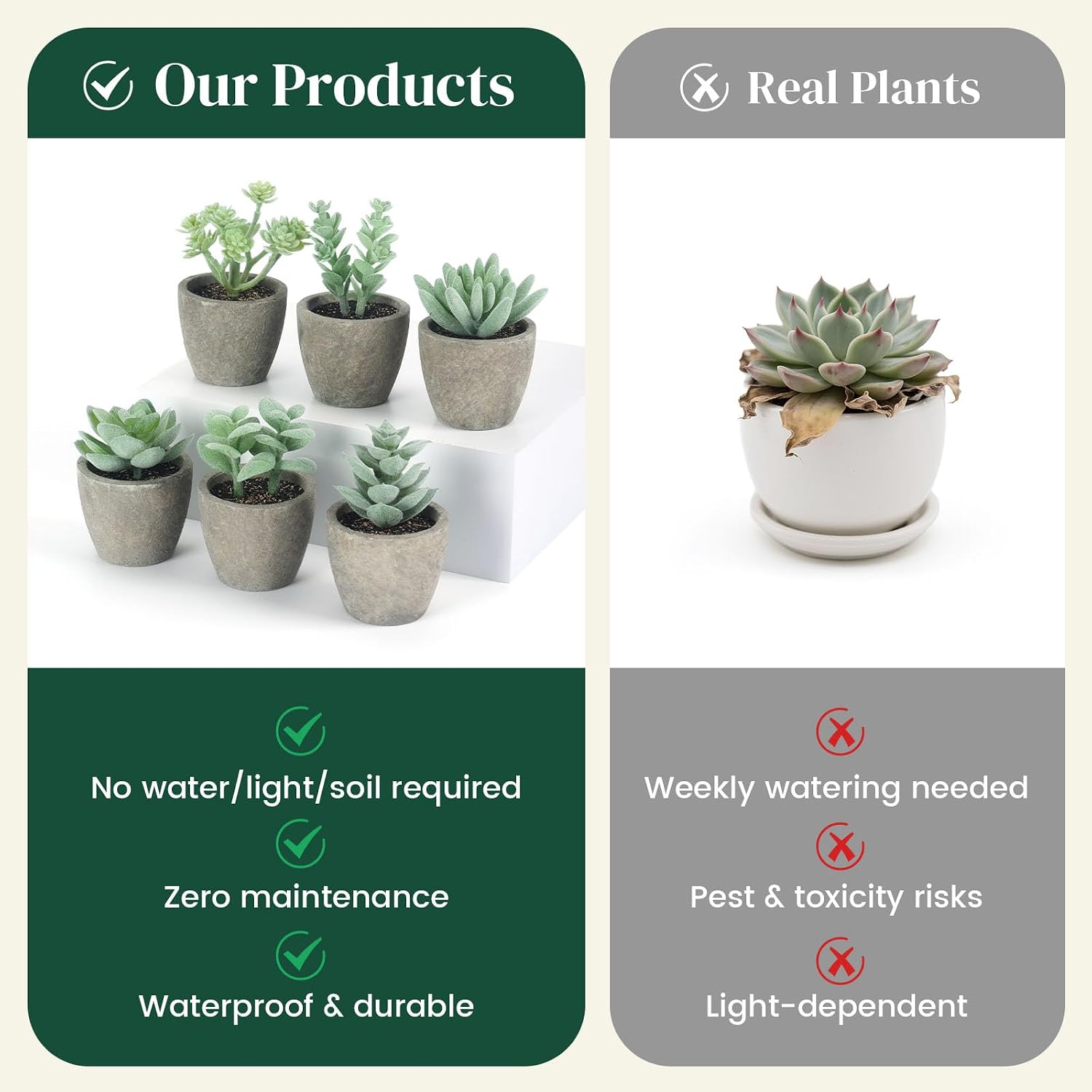 Artificial Succulent Plants Potted / Green / Set of 6