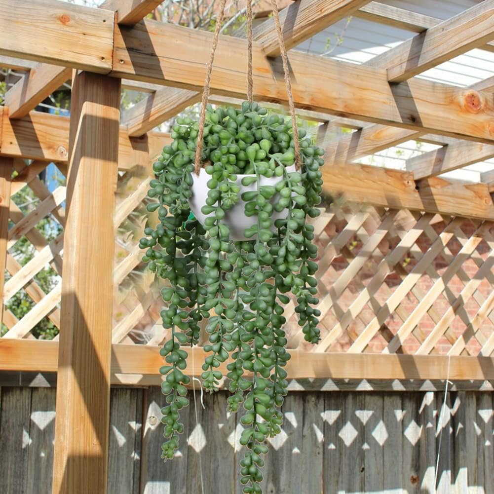 plants Fake Hanging / String of Pearl