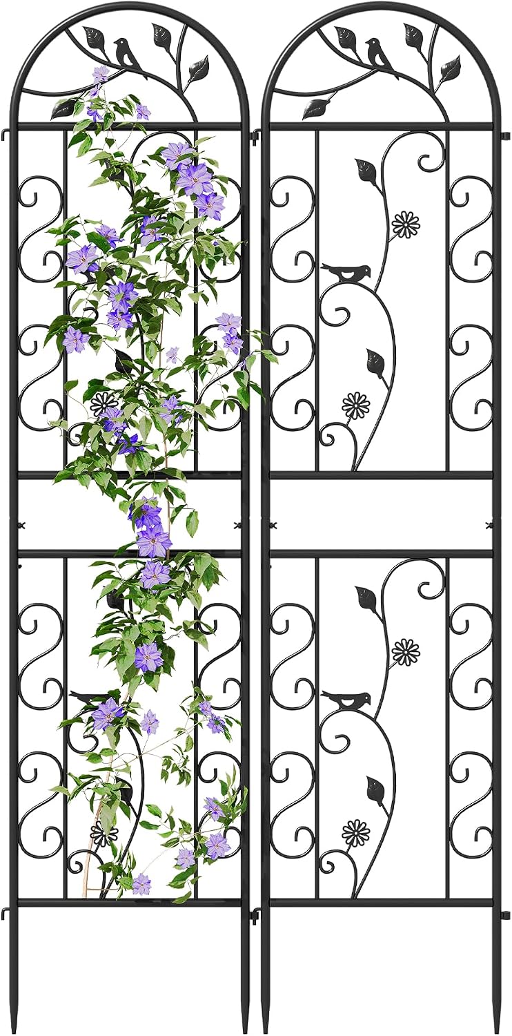 2-Pack 87" x 20" Daisy & Bird Arch Black Metal Garden Trellises | Set of 2 rust-resistant metal trellises with bird