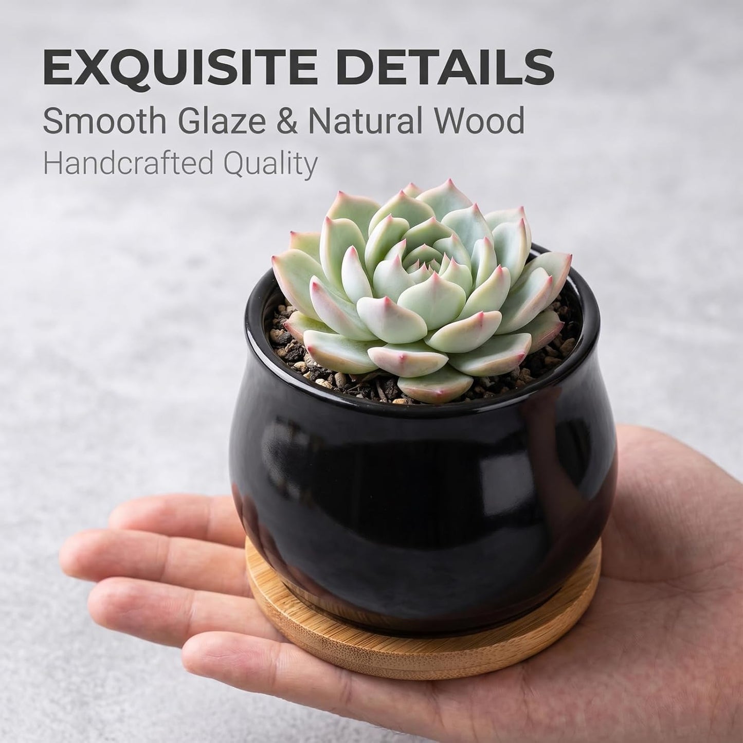 Matte Mini Ceramic Flower Planter Pot / Black / 2.6 Inch / Set of 8