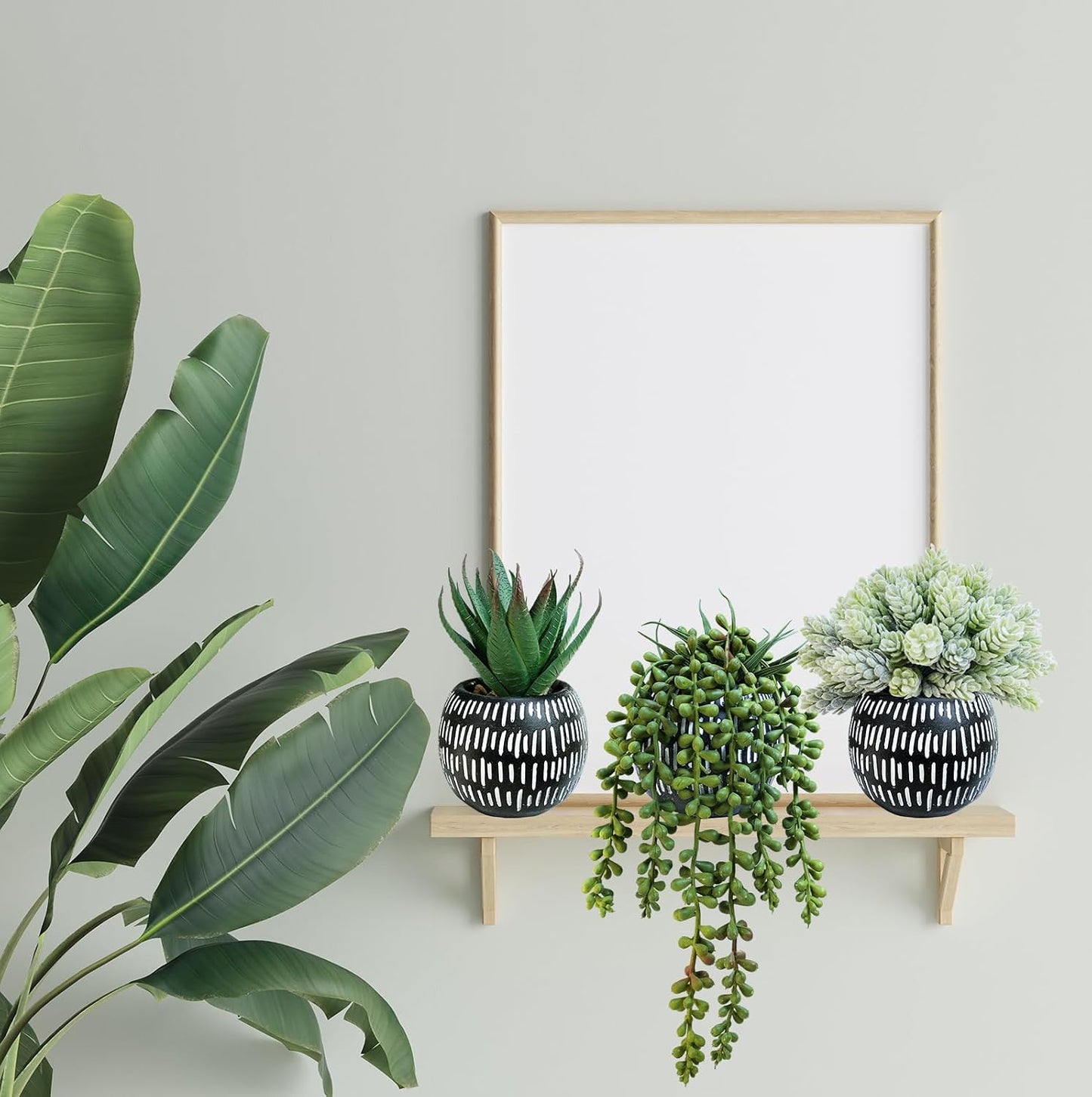 Small Artificial Succulent Potted Plants Faux Aloe Hops Hanging Succulent / Black Pot / Set of 3