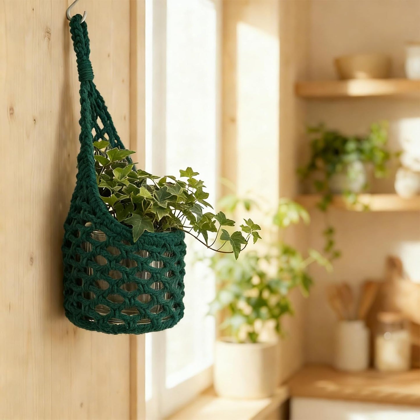 Macrame Wall Plant Hanger / Green / 6-inch / 6 Inch