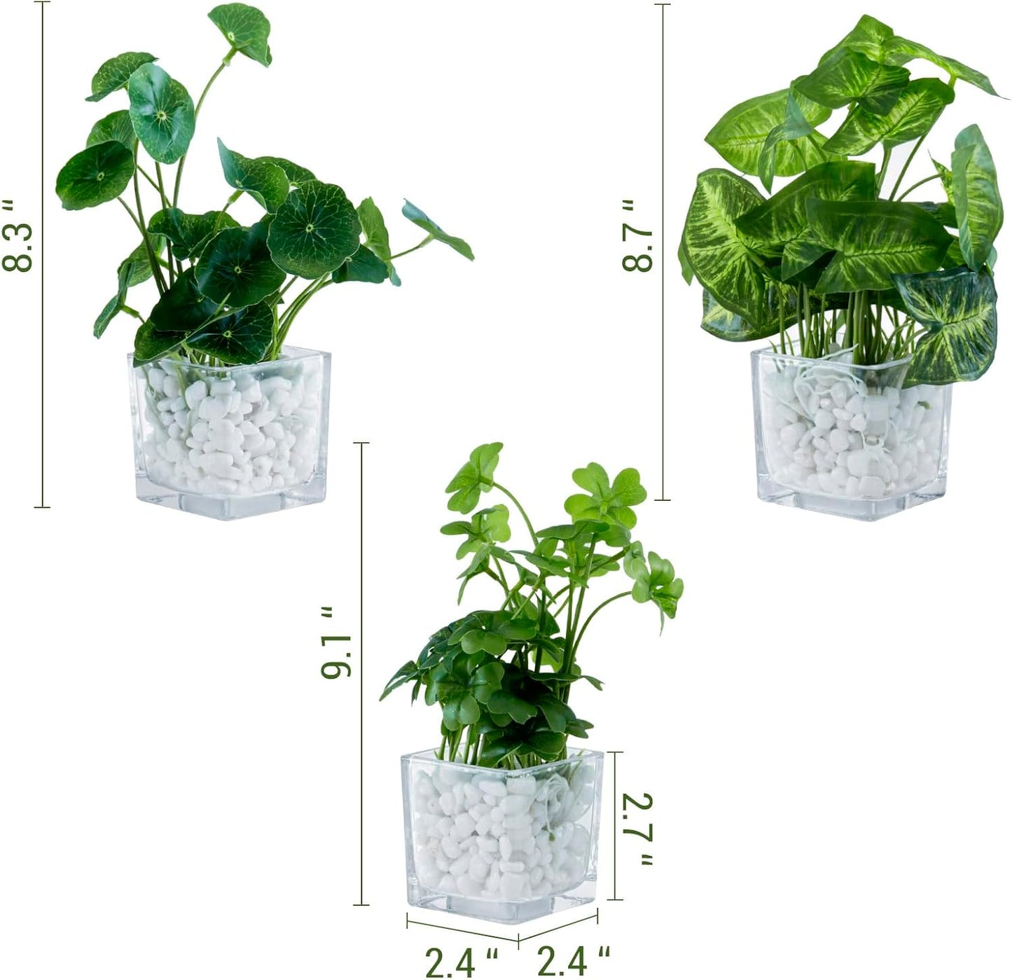 Artificial Clover and Taro Plants in Glass Vase / Clear / Set of 3