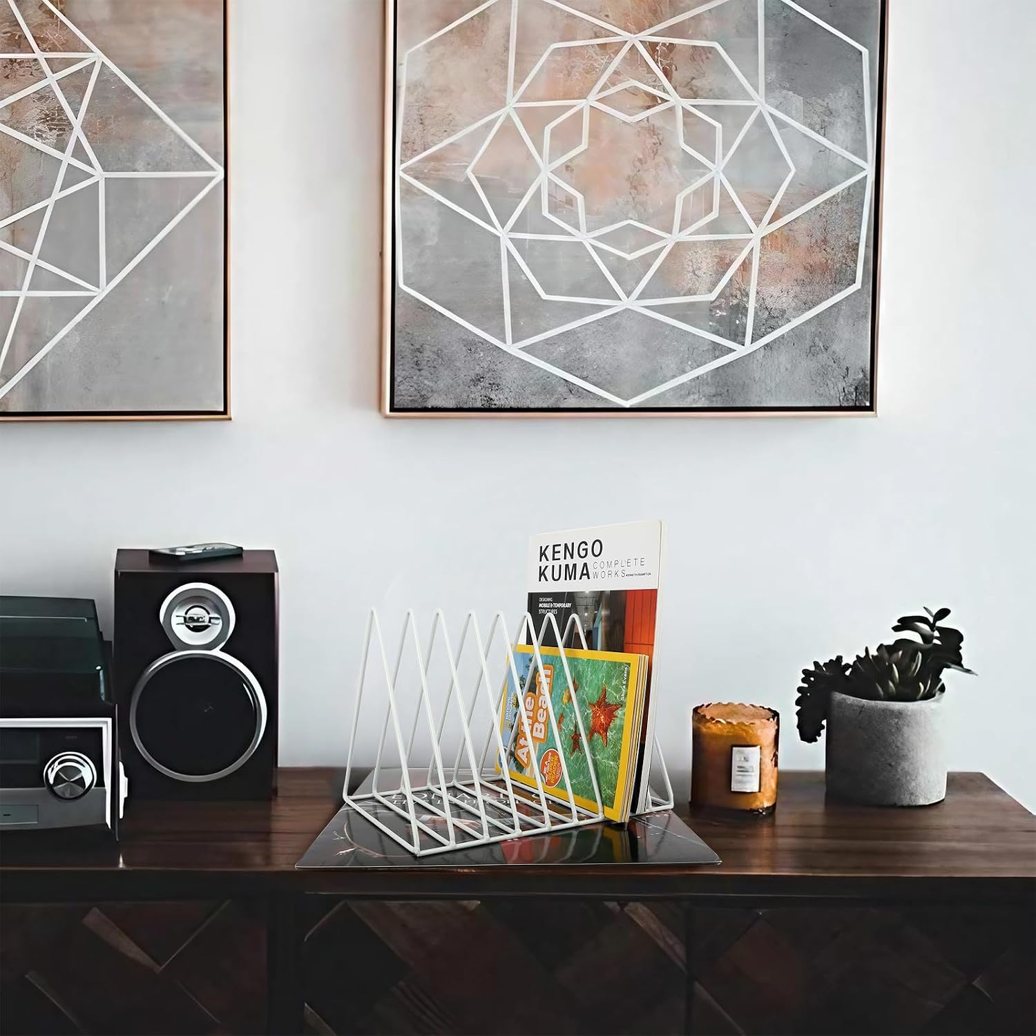 Vinyl Record Holder Storage, 9 Slot Metal Magazine Book Album Display Rack, Stylish Triangle Desktop File Sorter