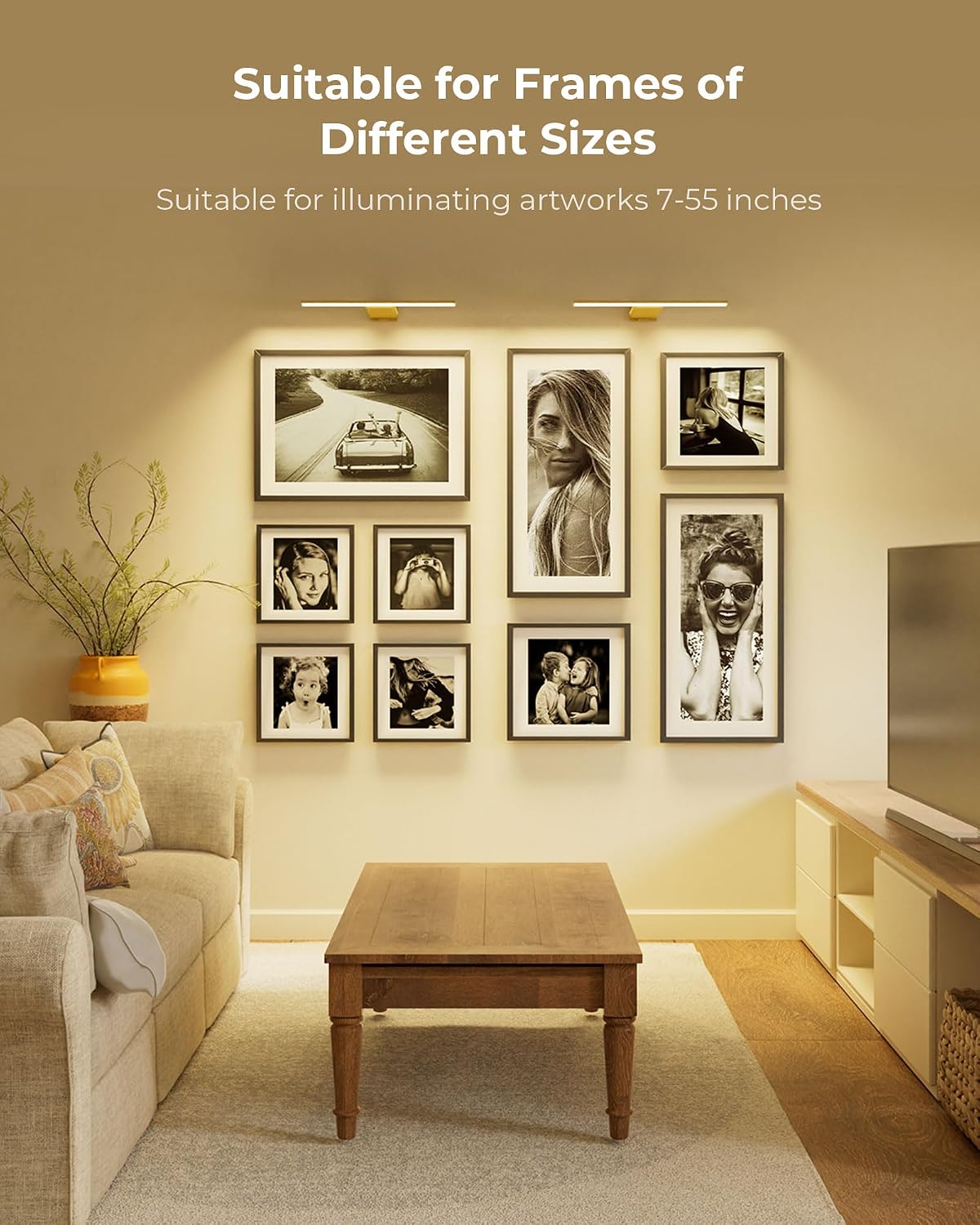 Picture Light for Wall with Remote, Picture Lights Battery Operated Rechargeable 12000mAh, 3 Colors & 3 Timers