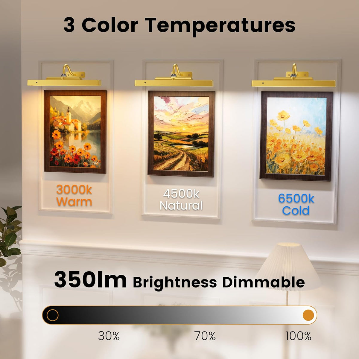 4 Pack Picture Art Above Light Set, 12" Wireless Battery Picture Lighting, Remote Control Timer 3 Color Temps for
