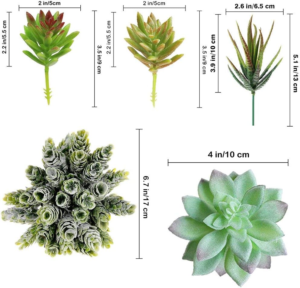 Winlyn Unpotted Fake Succulents Assorted Faux Succulent in Different Artificial / Green / Set of 6