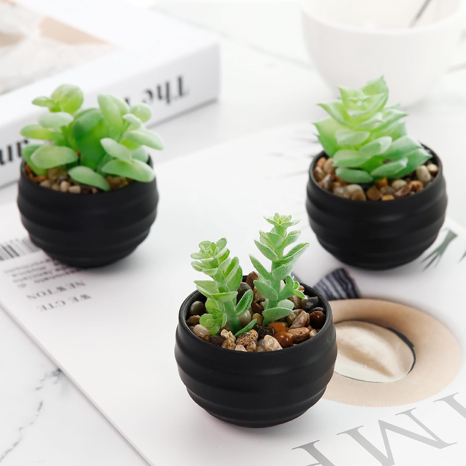 Succulents Plants Artificial in Pots Small Fake Plants for Halloween Decorations / Black / Set of 6