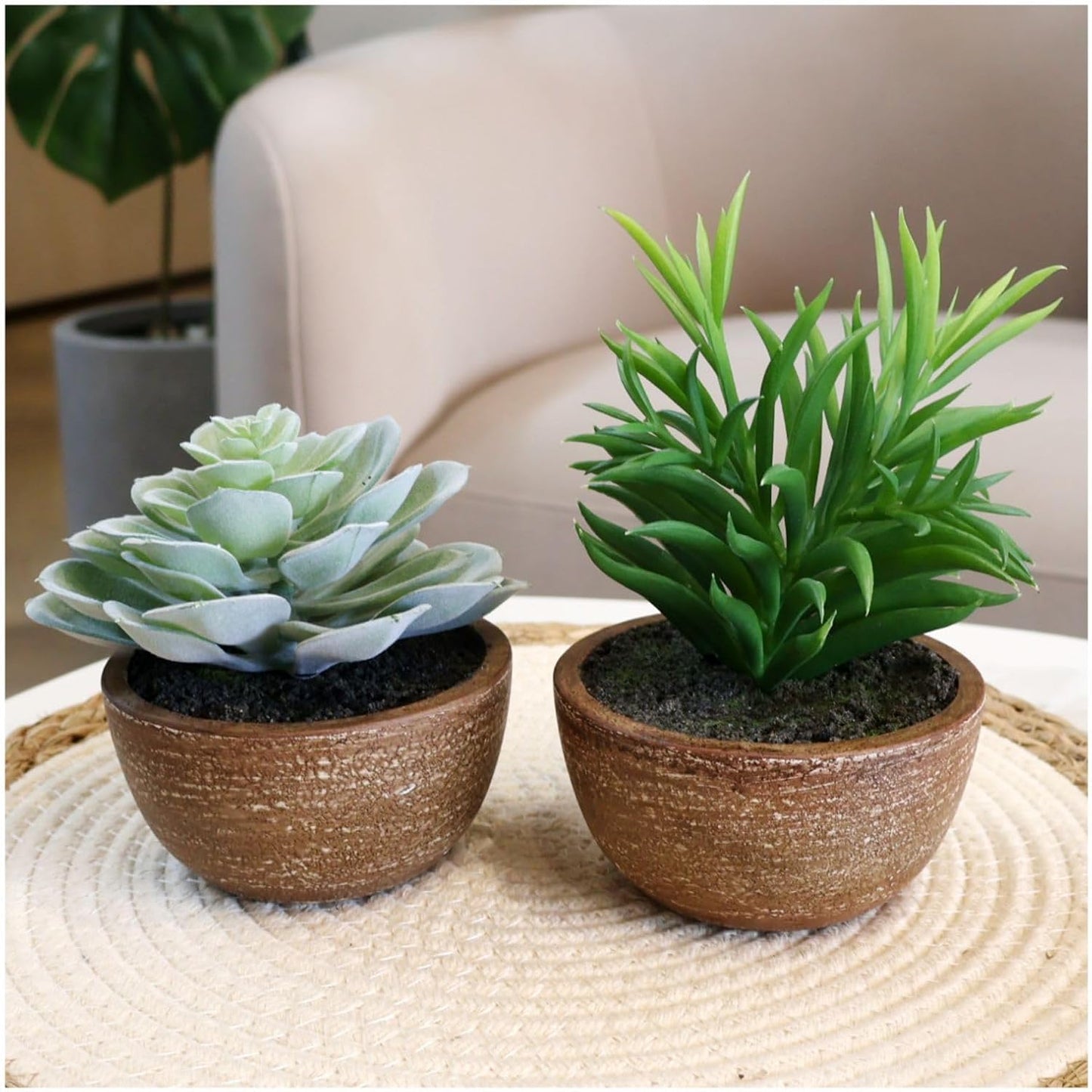 Artificial Succulents Plastic Artificial Plant / Succlents In Pots / Green / Set of 2