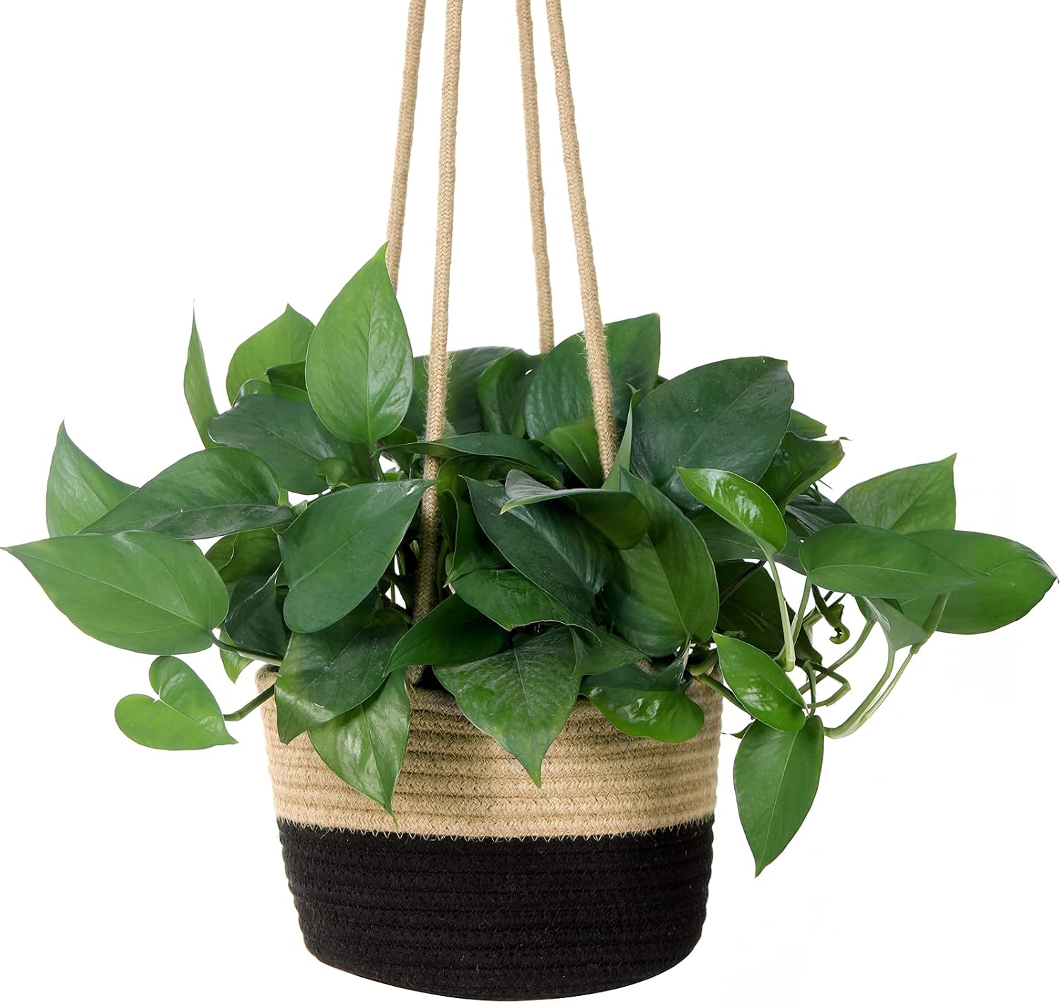 Hanging Planter Basket Jute Rope Woven Plant Hangers Indoor Hanging Plant Holder Up / Jute-black