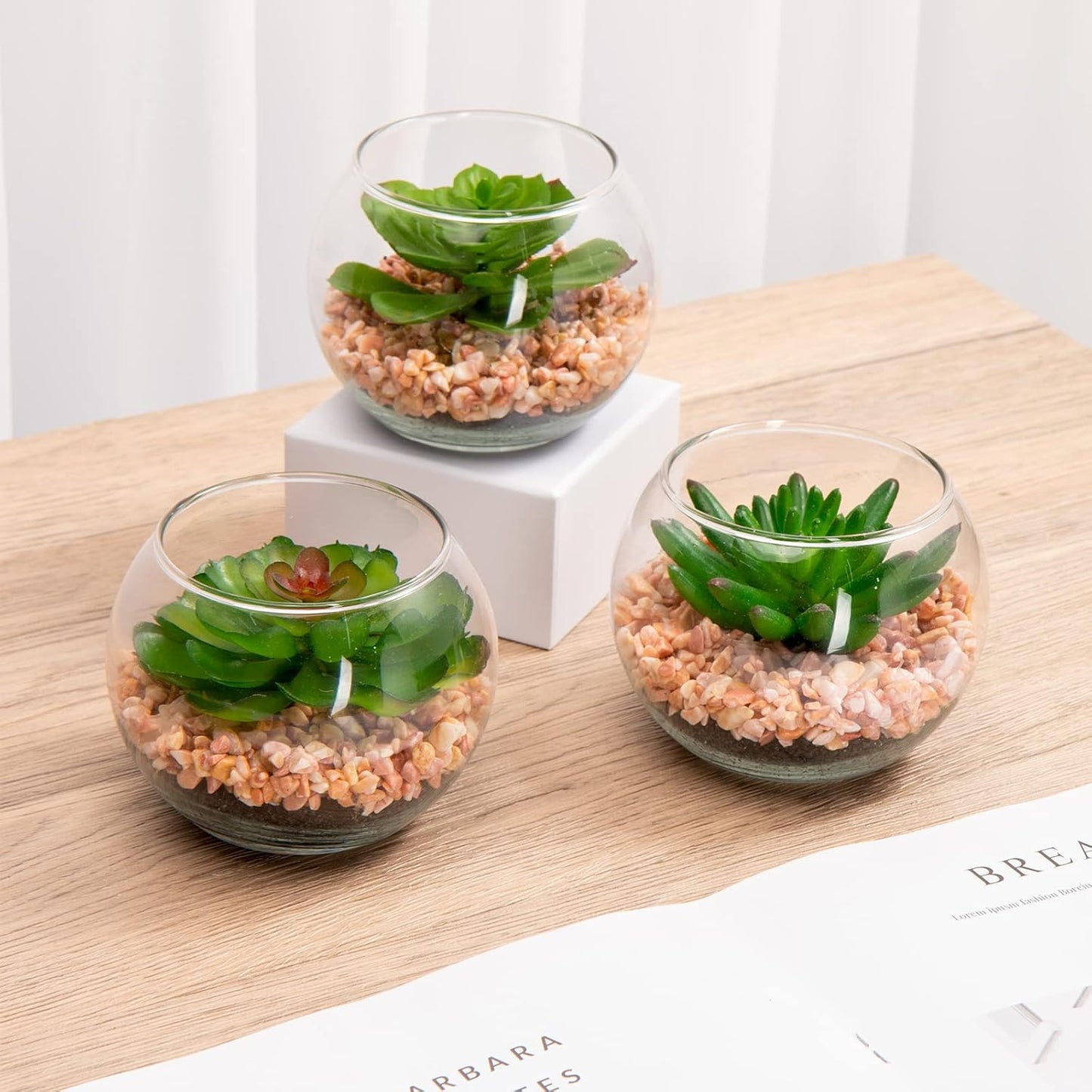 Mini Fake Plants 3 Packs Artificial Succulents Plants in Round Glass Vase / Succulents#07 / Set of 3