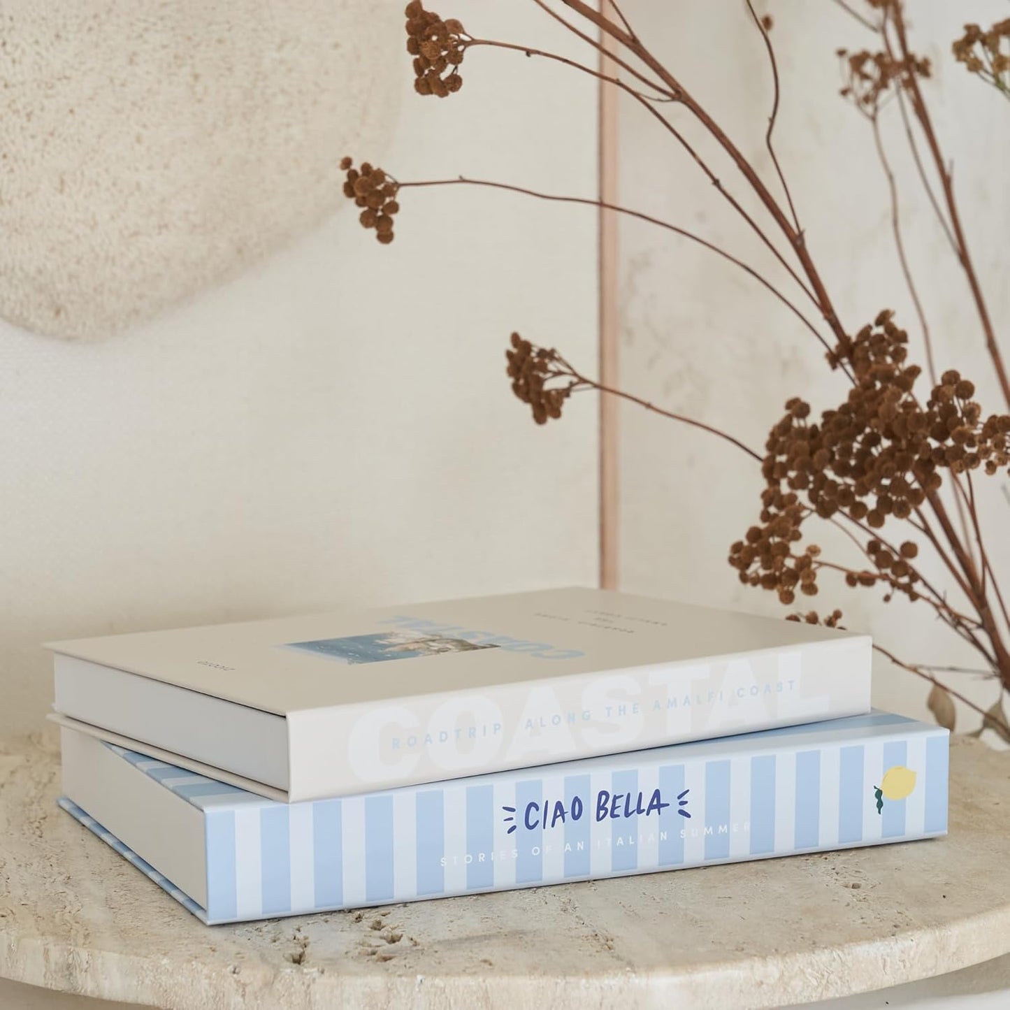 Decorative Books / Coastal Blue & Cream / Set of 2