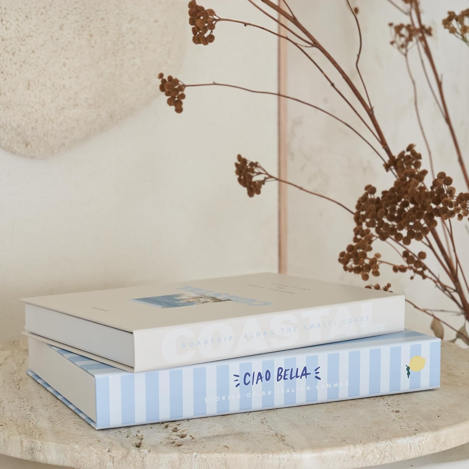 Decorative Books / Coastal Blue & Cream / Set of 2
