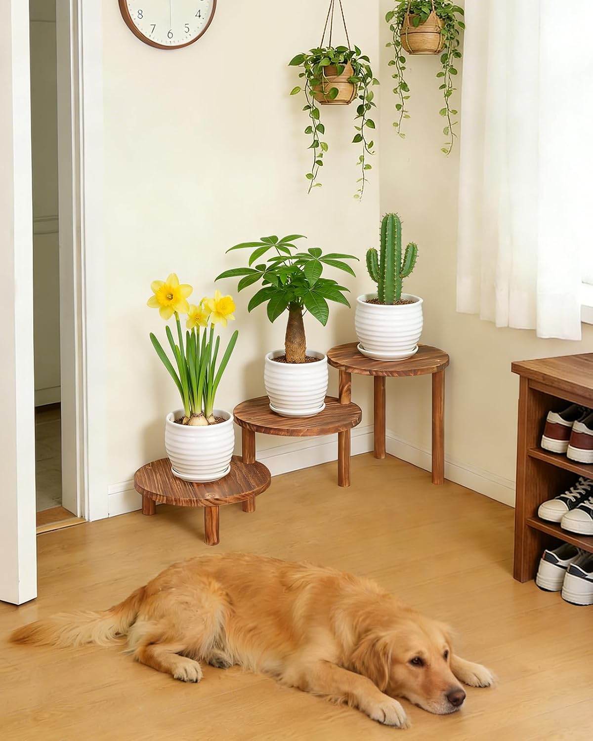 3 Tier Ladder Plant Stand, Adjustable Plant Shelf for Indoor Plants | Long Plant Holder for Miltiple Plants, Deformable