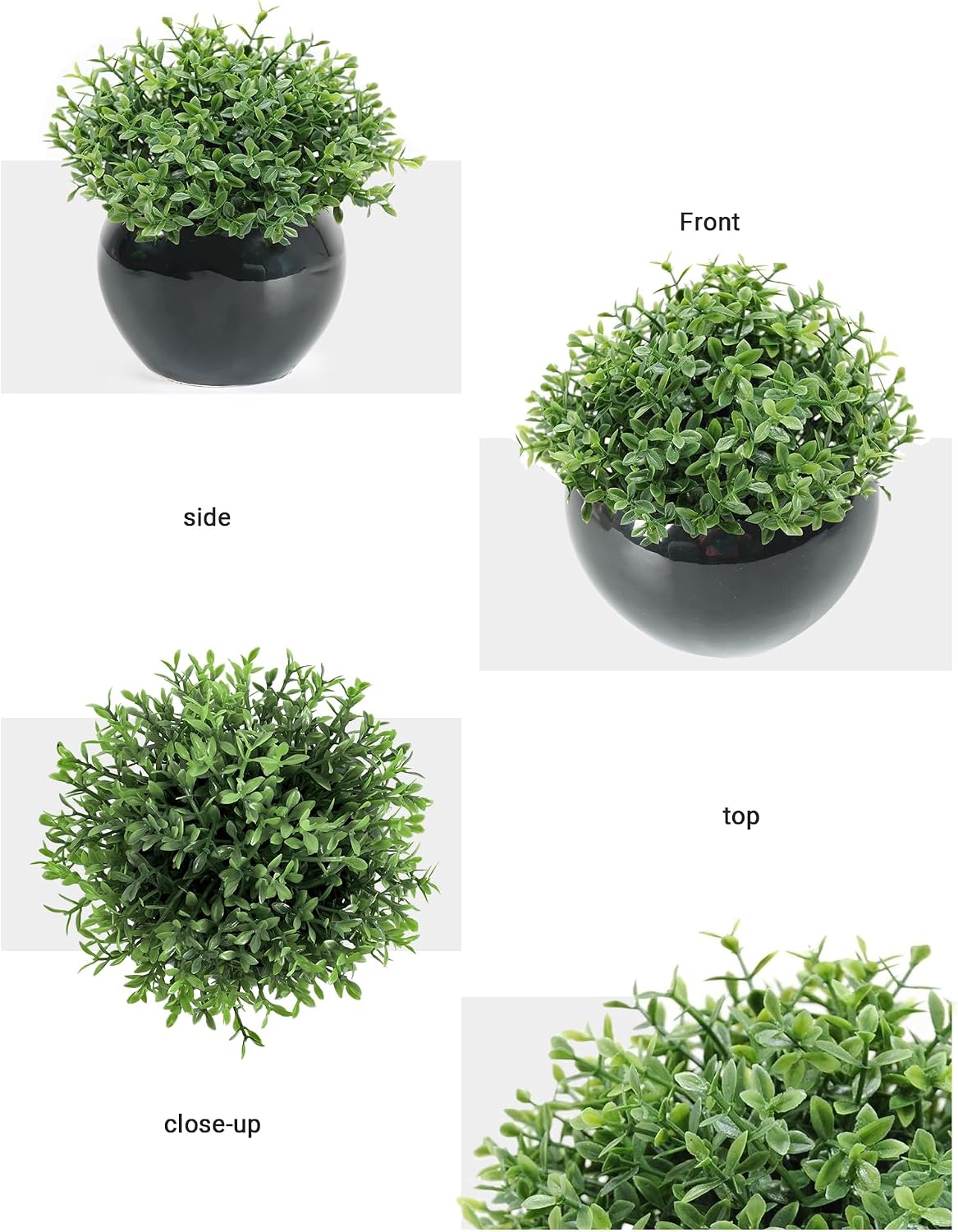 Small Artificial Succulents Grass Desk Plant / Black1