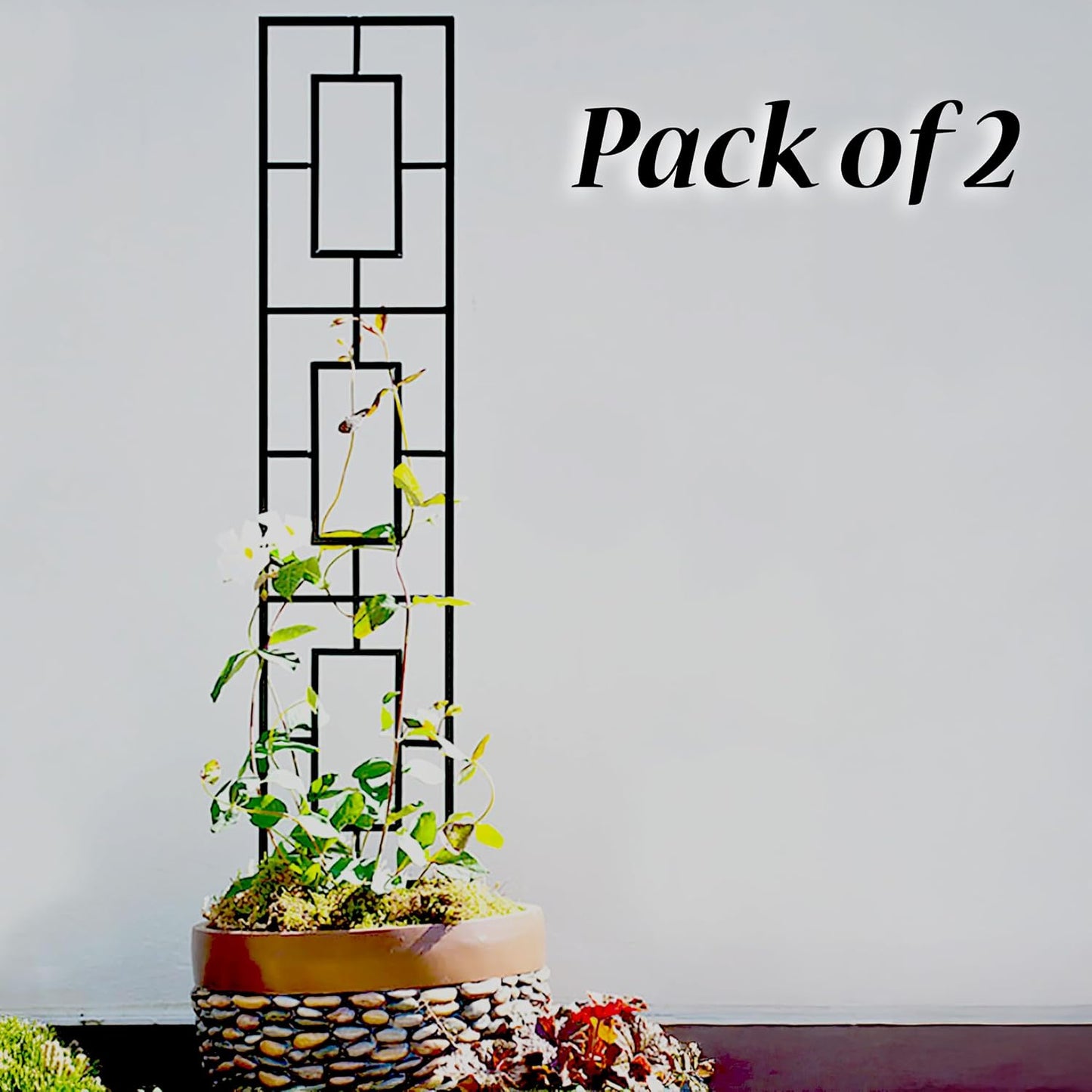 Panacea 84445 Contemporary Pot Trellises, Black, 46" H, Set of 2