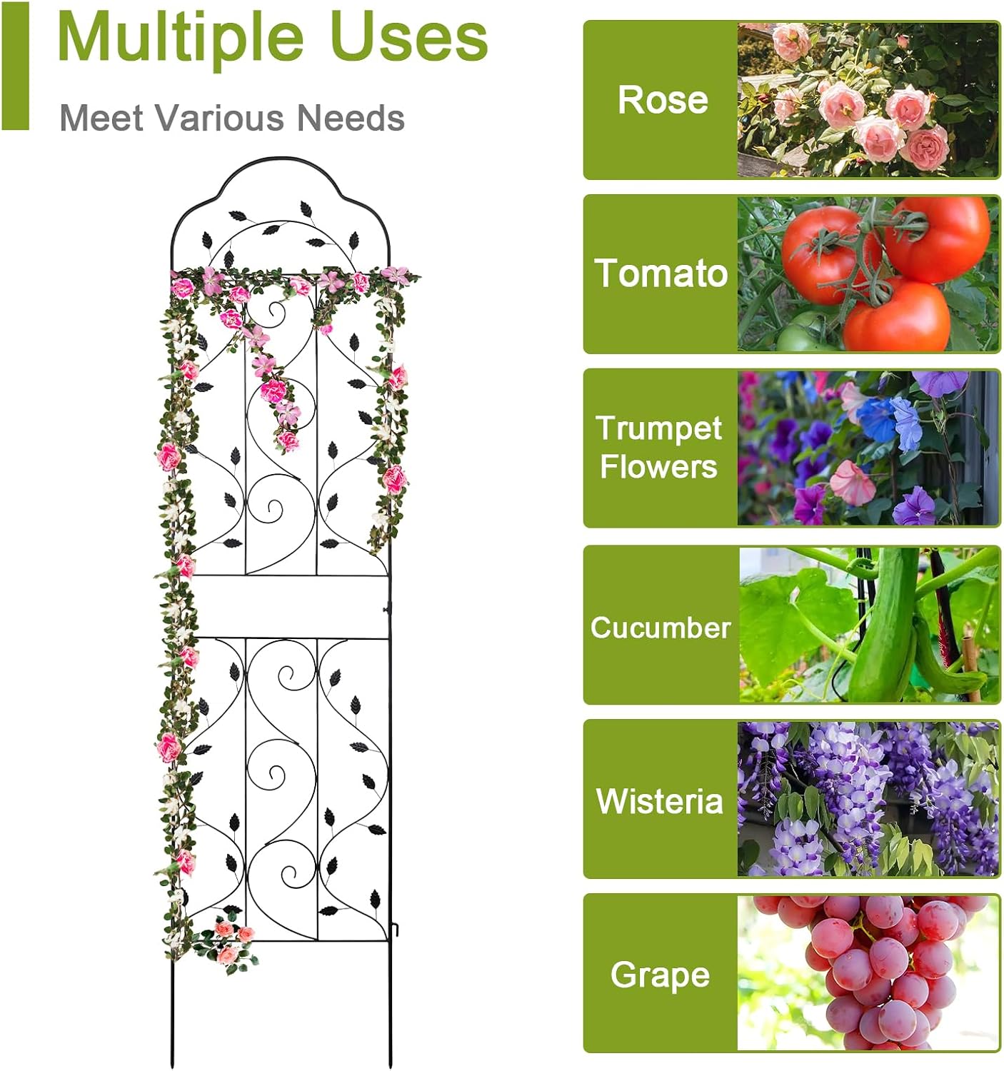 hogardeck Metal 84 * 19 Garden Trellis 2-Packs for Climbing Plants Flowers Vegetables Planting Arched Outdoor