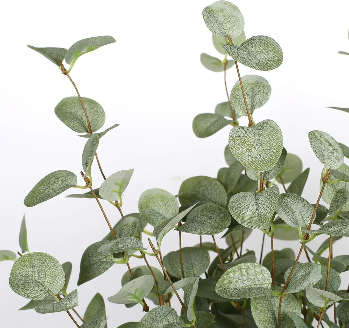 27" Eucalyptus Stems Greenery Stems Eucalyptus Leaf Spray in Silk Plastic Plants / Green / Set of 12