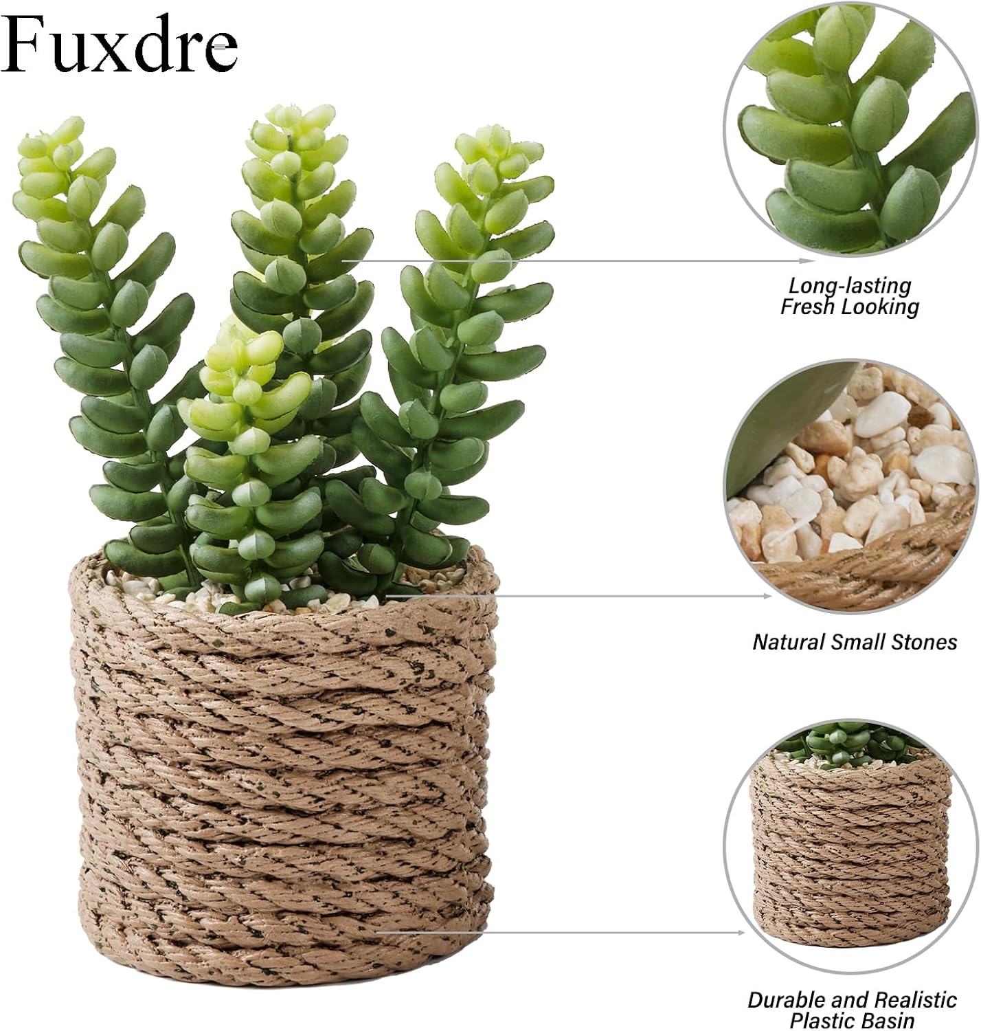 Artificial Succulent Plants in Vintage Plastic Pots / Succulent-d / Set of 3