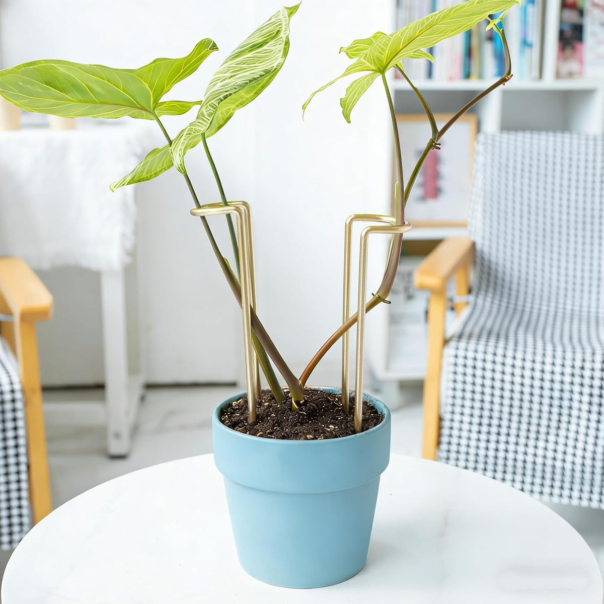 8.7 Inch Indoor Plant Trellis 10 Pack Small Gold Plant Supports | Plant Support Stakes for Indoor & Outdoor Plants