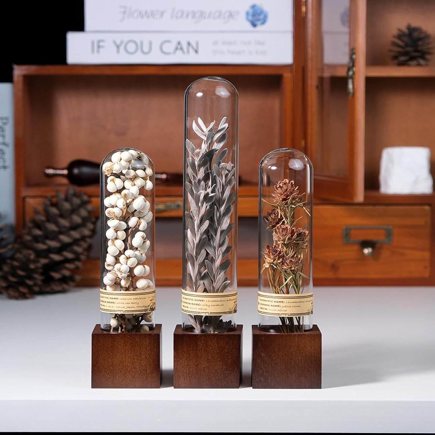 Dried Flower Decor / Minimalist Neutral Trio,3-piece Set / Natural / Set of 3