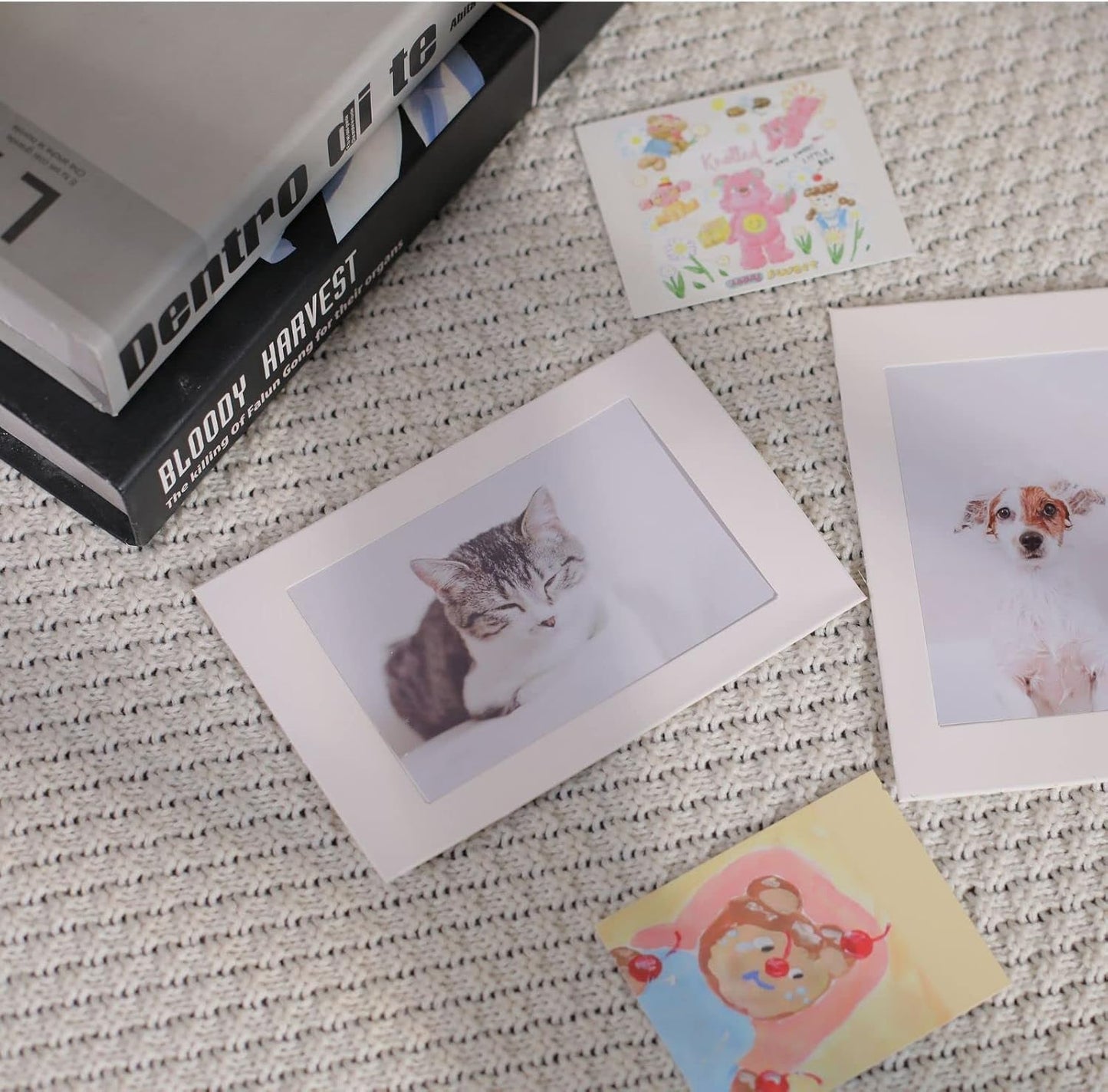Gallery Frames Bulk / White / 50PK / 4 x 6 / Set of 50