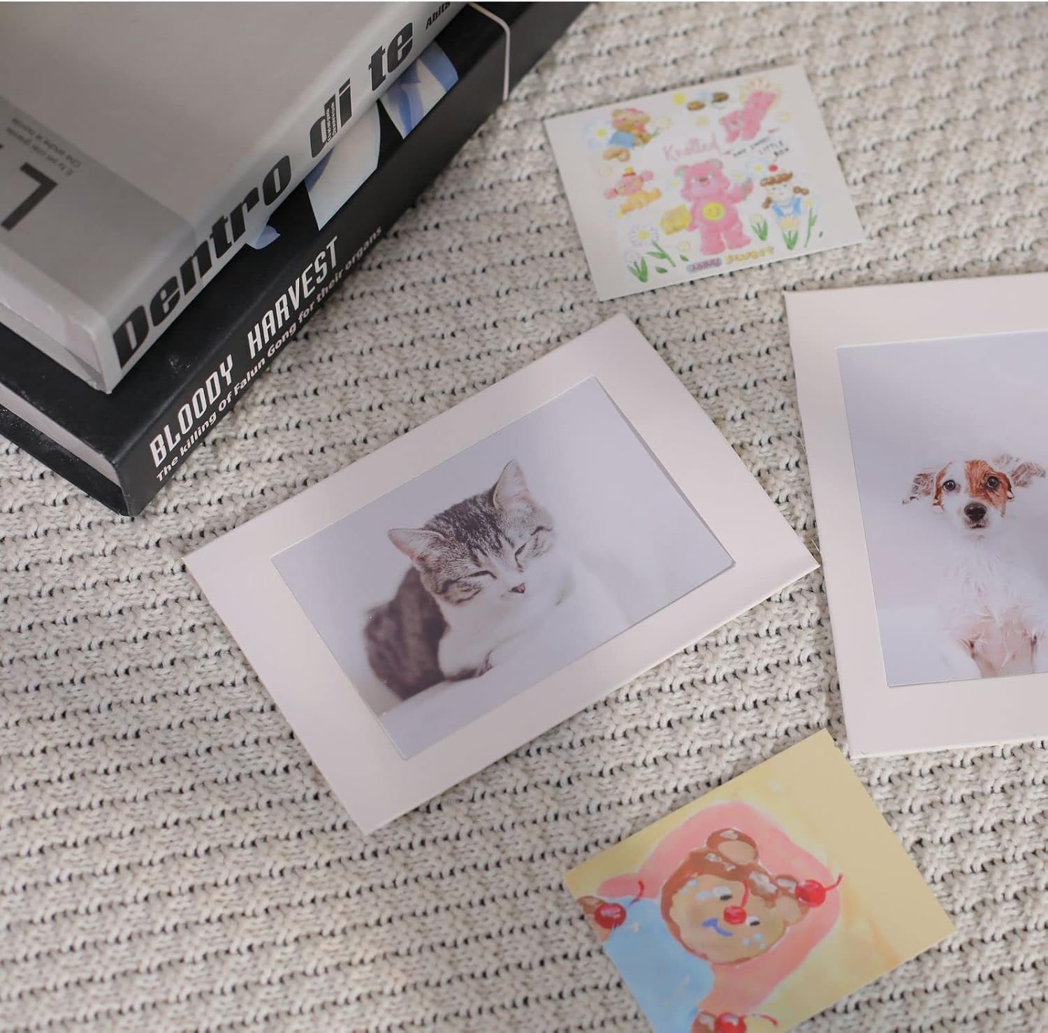 Gallery Frames Bulk / White / 50PK / 4 x 6 / Set of 50