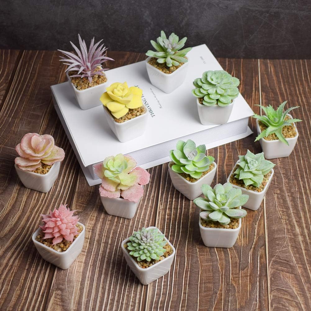 Artificial Faux Succulents in Pots Fake Plants Plastic Arrangement Planter Small Mini / White-12