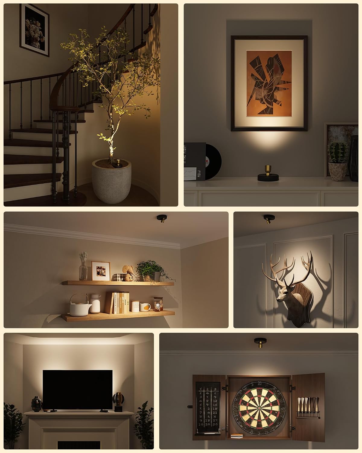 EZVALO Spot Lights Indoor, Plant Uplights, Accent Lighting | with Remote, 4000mAh Rechargeable Battery, Wireless