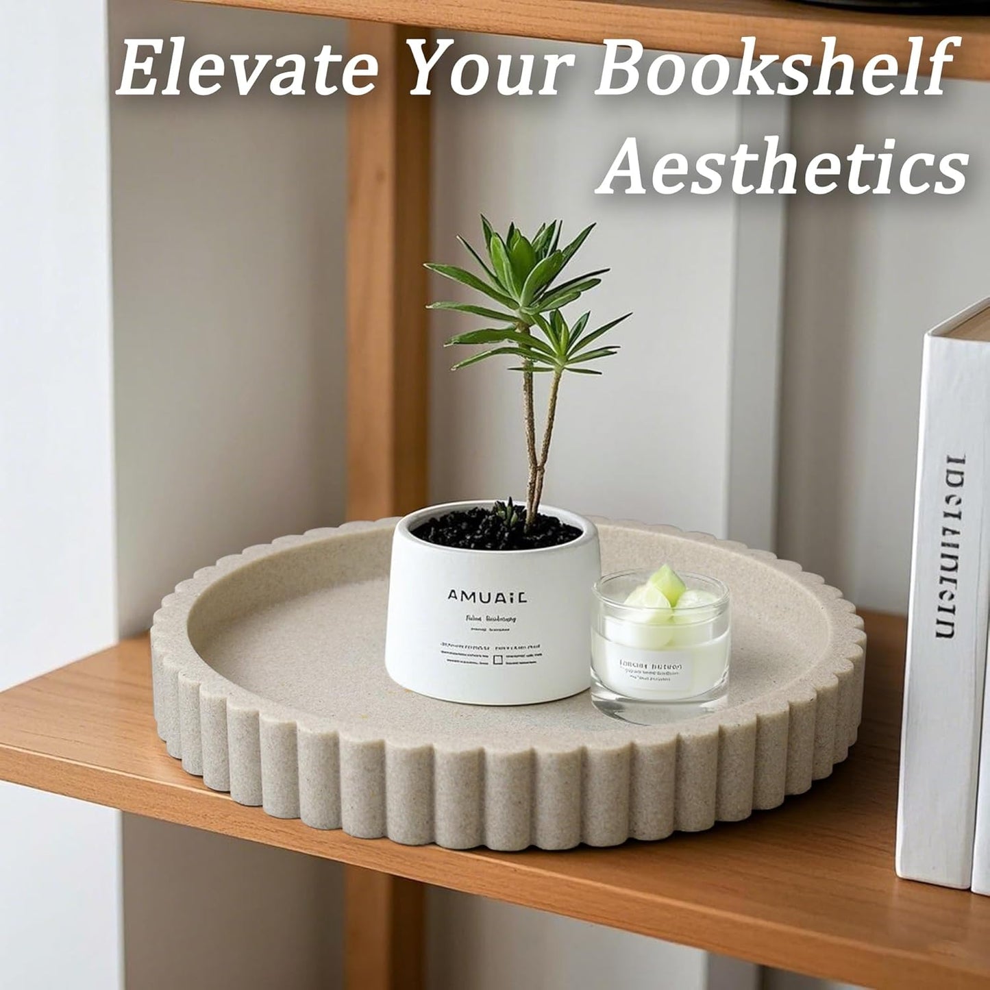 Modern Organizer / Decorative Coffee Table Tray / Beige
