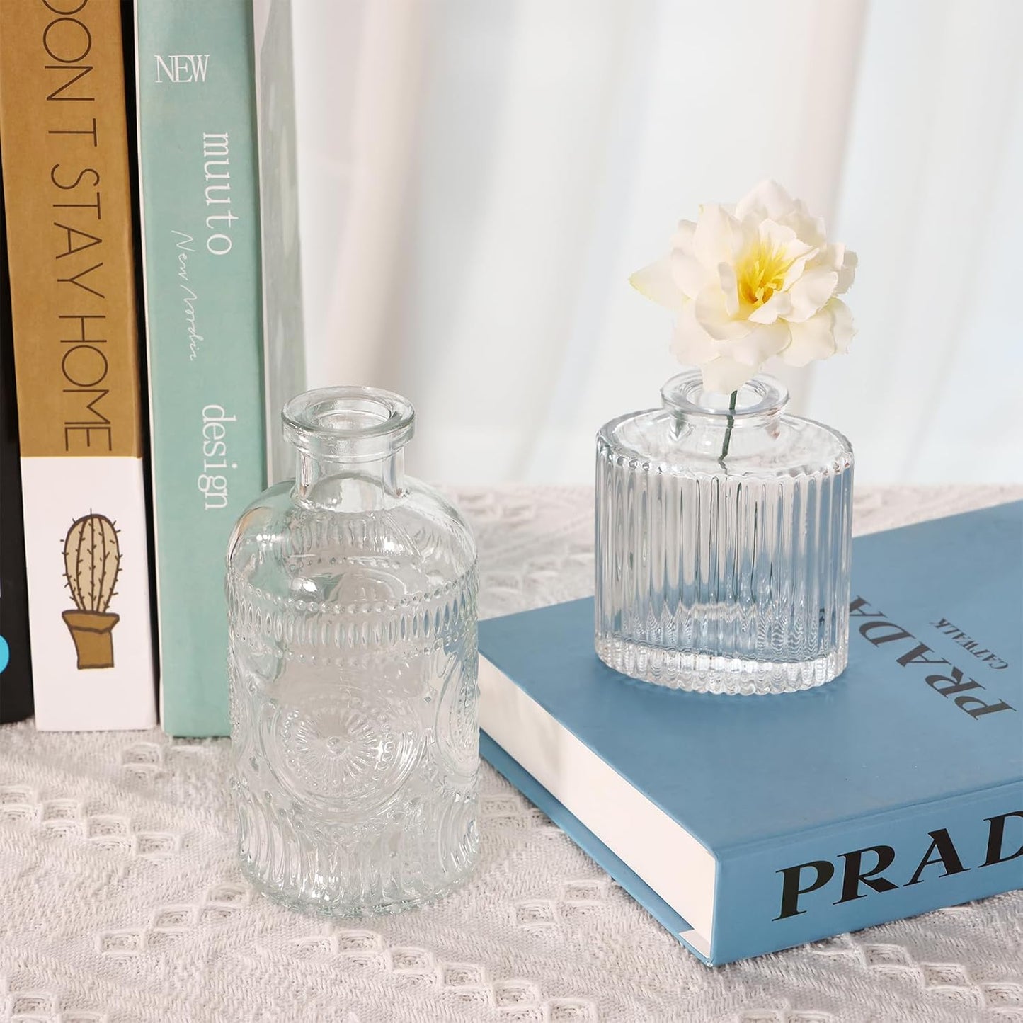 Glass Vase / Bud Vases / Clear / Set of 5