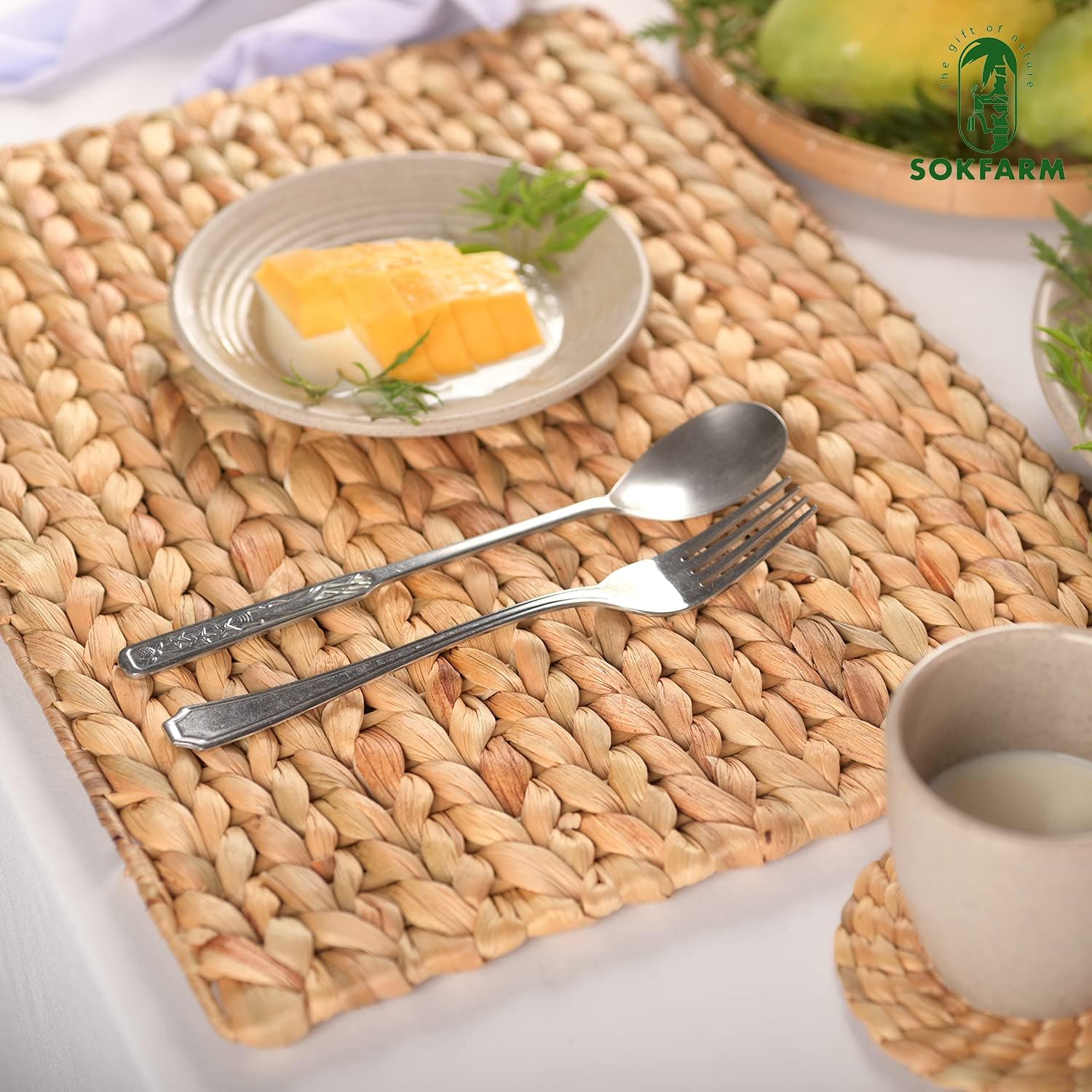 Water Hyacinth Rectangular Placemats Set of 8, Woven Rattan Placemats for Dining Table, Heat Resistant Wicker Table