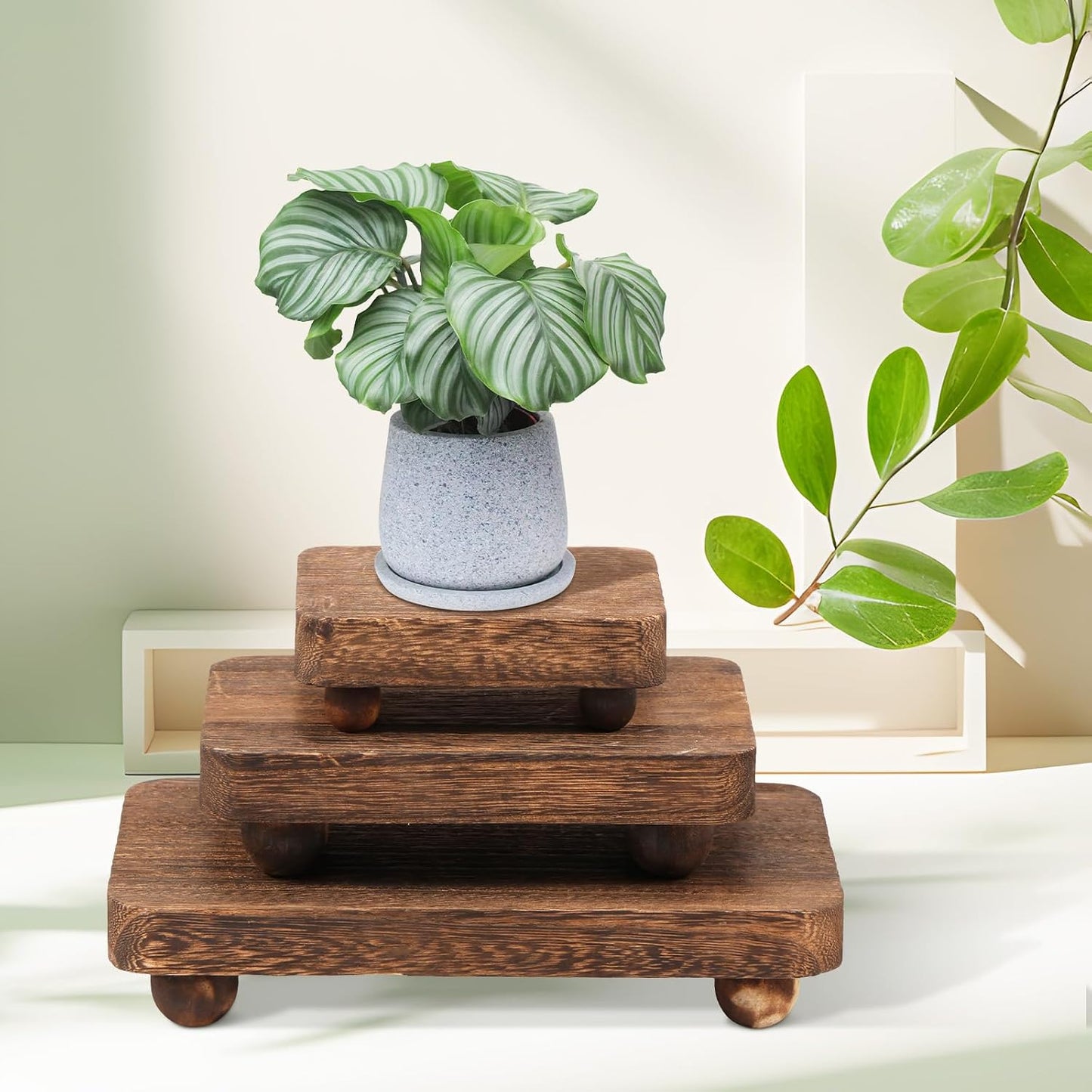 Square Wood Pedestal Stand / Set of 3