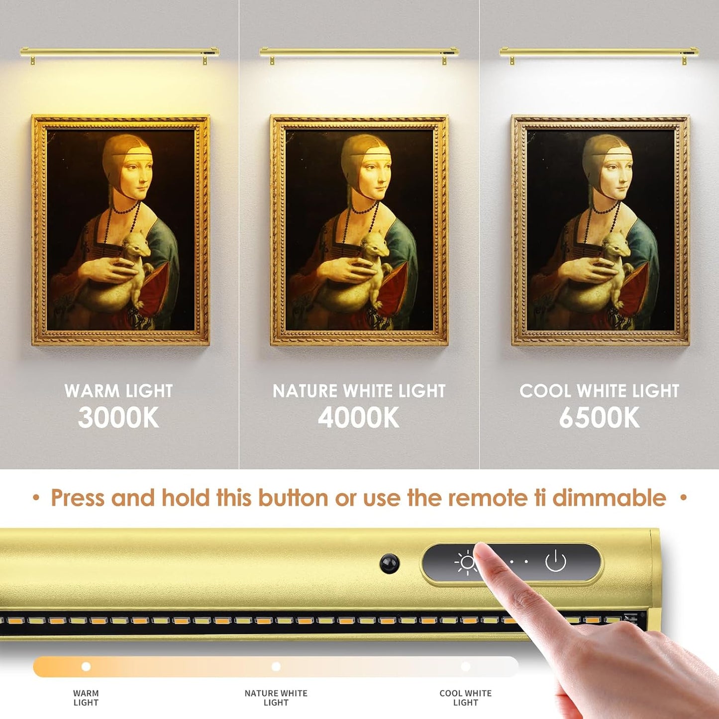 Battery Operated Wireless Picture Light，Rechargeable/Plugged in 31.5inch Painting Display Light,Remote Control Wall