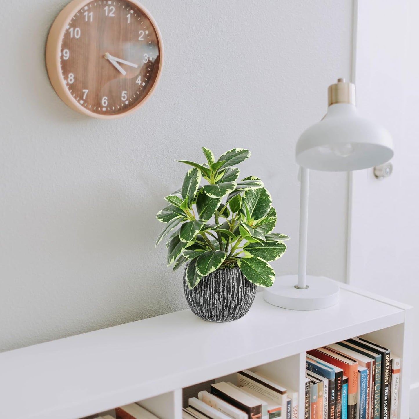 Faux Variegated Oak Leaf Plant / Green#02