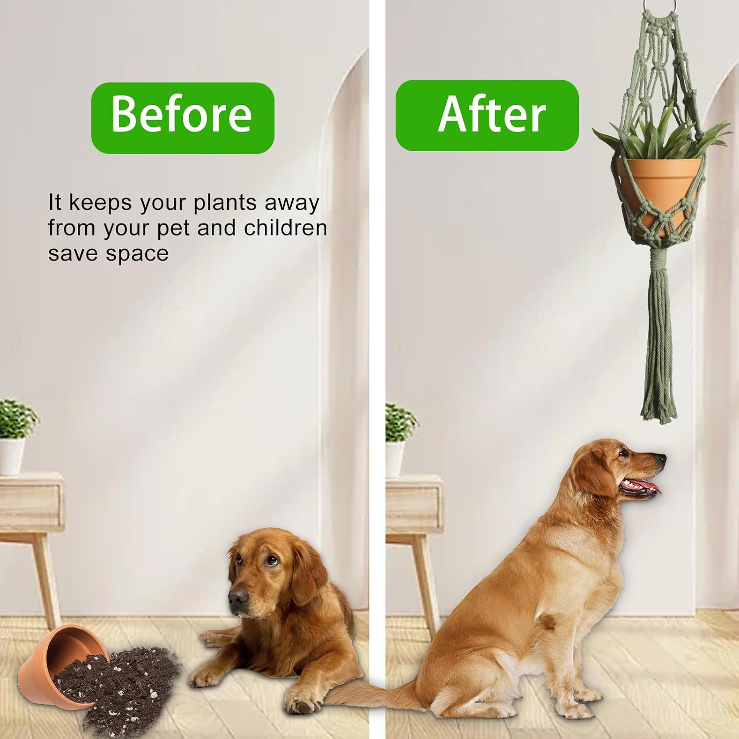 Macrame Hanging Planter / Olive Green / Set of 2