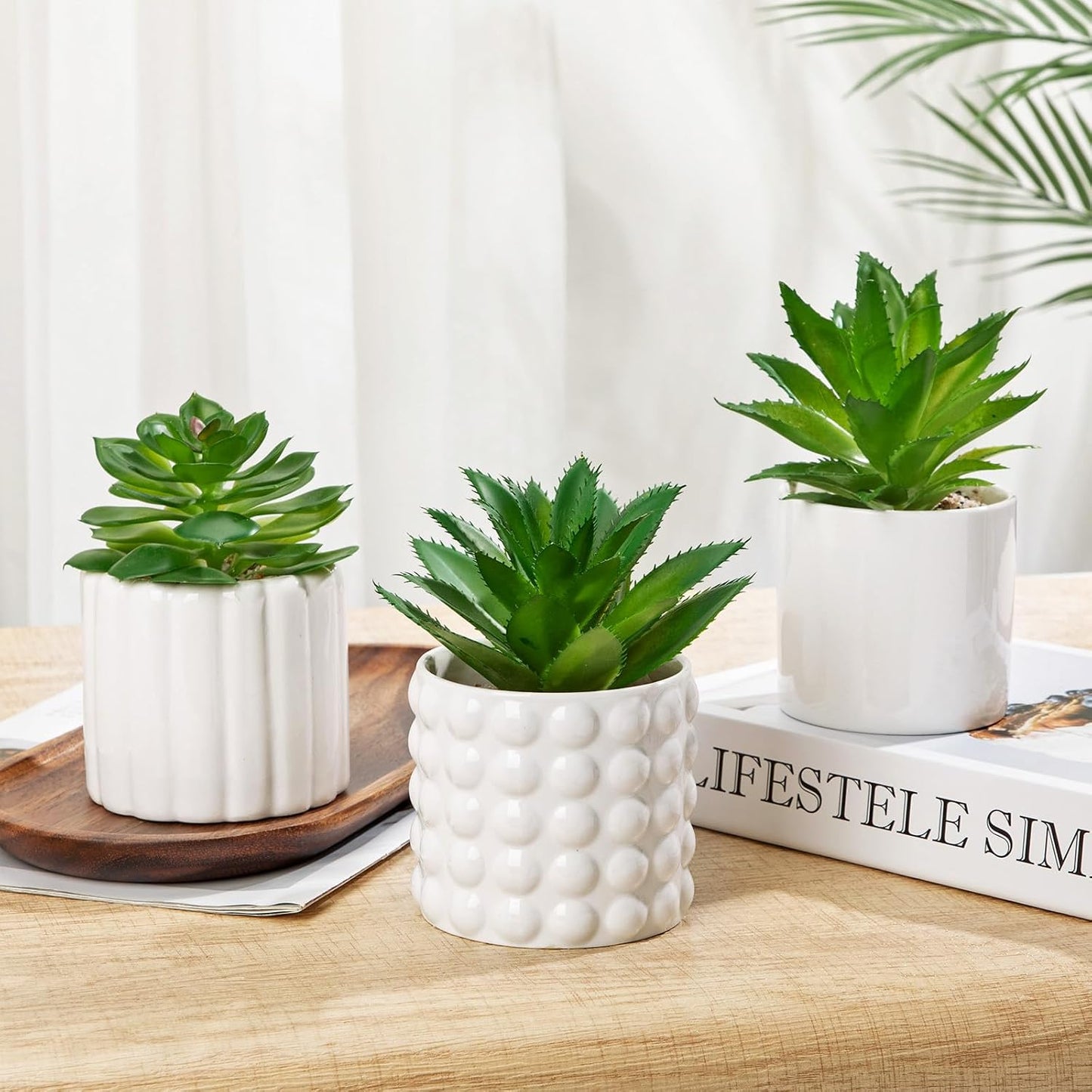 Succulents Plants Artificial in Ceramic Pots / White / Set of 3