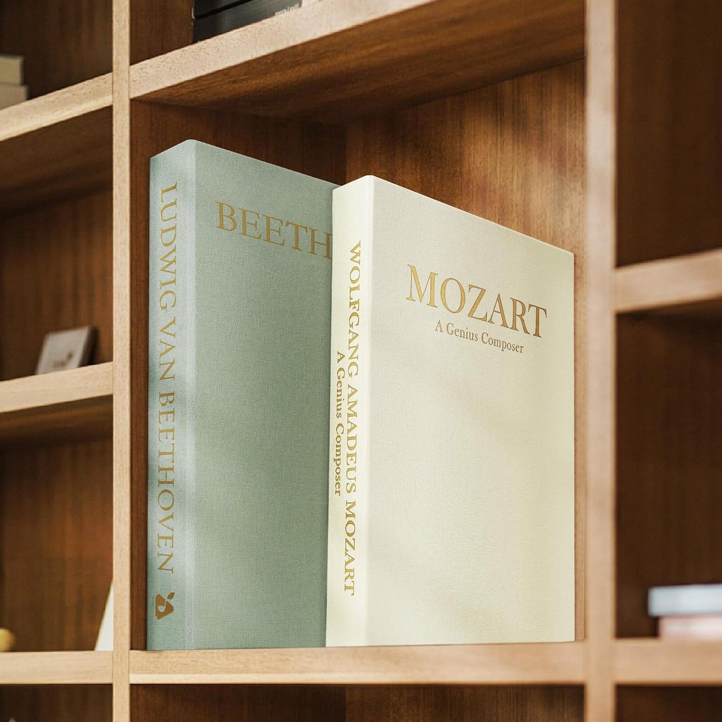 Minimalist Linen Hardcover Faux/Fake Books / Sage-beige / Musician / Set of 2