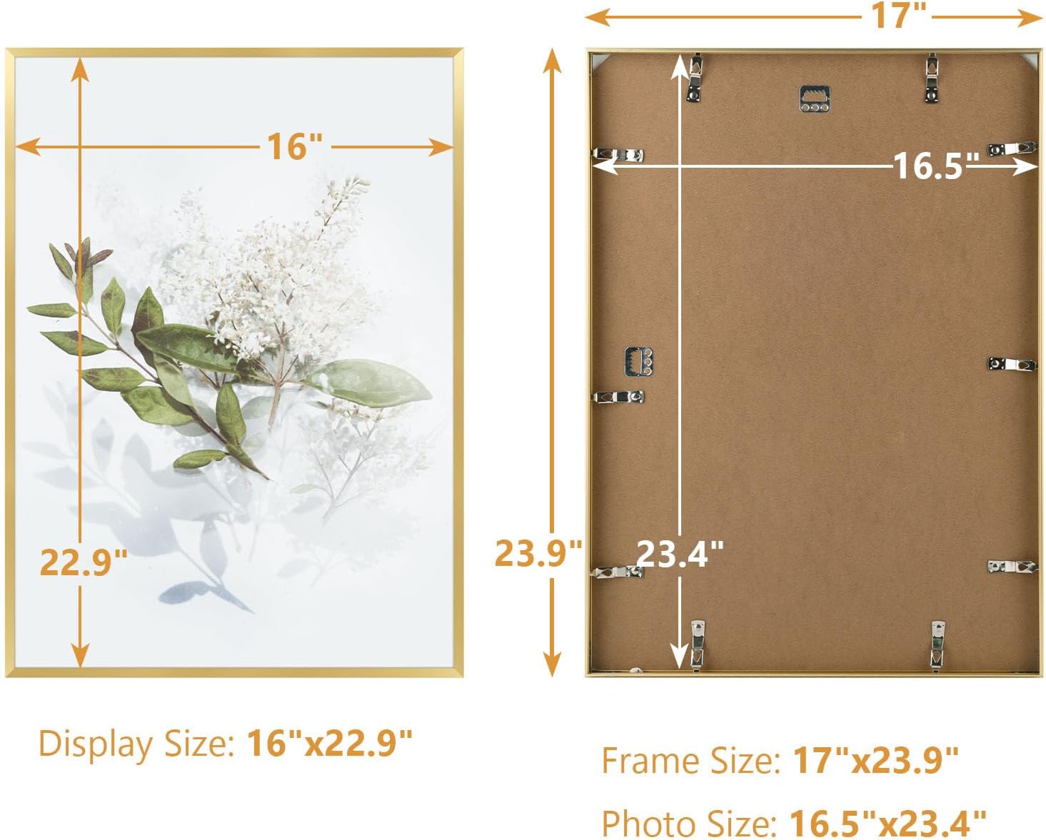 Golden State Art A2 Aluminum Poster Frame Acrylic Front Gold | Metal Thin Frames for 16.5x23.4 Photo, Wall Hooks for